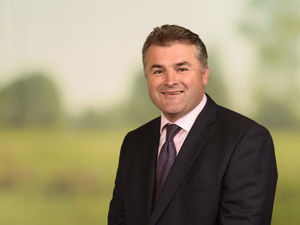 Supporting image for story: Green scheme axe is welcome 