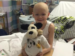 Supporting image for story: Shropshire schools going 'Mad About Harry' to raise funds for poorly 10-year-old