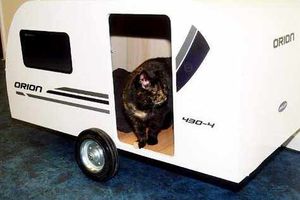 Supporting image for story: Mini caravan home for Shropshire stray cat
