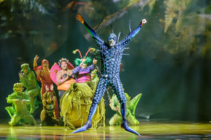 Cirque du Soleil OVO. Pictures by: Chris Bowley