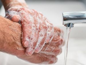 Supporting image for story: Public urged to follow advice to help Test and Trace work