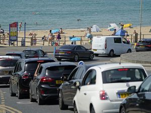 Supporting image for story: Over 5,000 tonnes of sand will be brought into cars from the beach this year – study