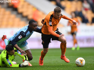 Supporting image for story: Wolves 1 Rotherham United 0 - Report and pictures