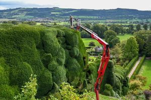 Dan Bull, gardener, at Powis Castle trimming the Yew Topiary.  // Workers have started the 'world's toughest gardening job' by using a cherry picker to painstakingly trim the 300-year-old hedges at a historic castle. 
