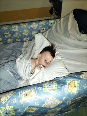 Romy had a fractured jaw and lost three teeth