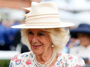 Supporting image for story: Queen delights racegoers but has hopes of winning dashed at York Racecourse