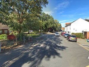 Supporting image for story: Tree pruning approved in Newtown