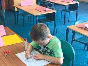 Supporting image for story: Schools welcome pupils back