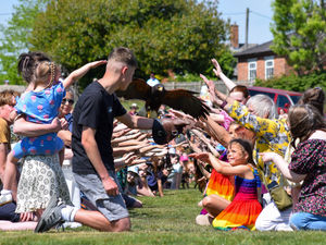 Audience participation during a Ridgeside Falconry display