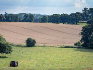 Supporting image for story: NFU Shropshire to host farm walk at Apley Estate 