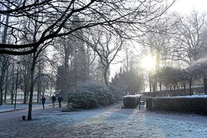 Frosty weather at Walsall Arboretum