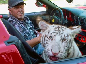 Supporting image for story