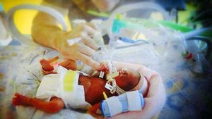 Daisy-Mae, who weighed a tiny 1lb 13oz, when she was born