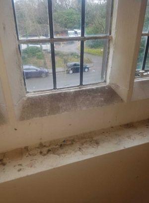 Dampness problems in Katie Whitehouse's flat. Credit: Katie Whitehouse