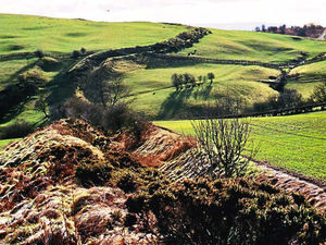 Supporting image for story: Climber airlifted to hospital after 20ft fall