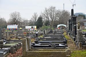 The human remains were discovered during the work of ecologists in the cemetery adjacent to the railway tracks