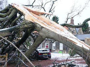 Supporting image for story: AA puts drivers on alert as Storm Barra looms in Shropshire tonight