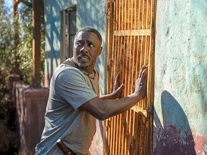 Supporting image for story: Film Talk: Latest Movie Releases – Idris Elba brings the bank holiday bite with Beast