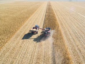 Supporting image for story: 9 people are well and truly out of touch with reality