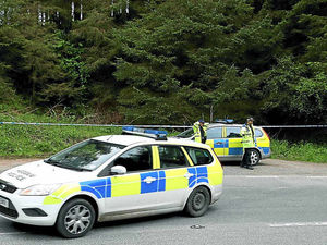 Supporting image for story: Wellington man, 22, in court over murder of Georgia Williams