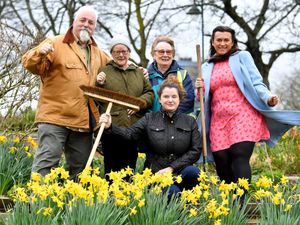 Supporting image for story: Joy as Dartmouth Park awarded arboretum status