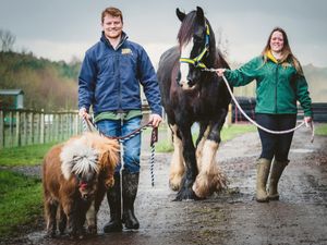 Supporting image for story: Head down to the farm for half-term fun in Staffordshire 