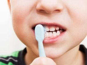 Supporting image for story: Lack of school staff and 'gatekeeper' receptionists among challenges to expanding children's toothbrushing scheme, meeting told
