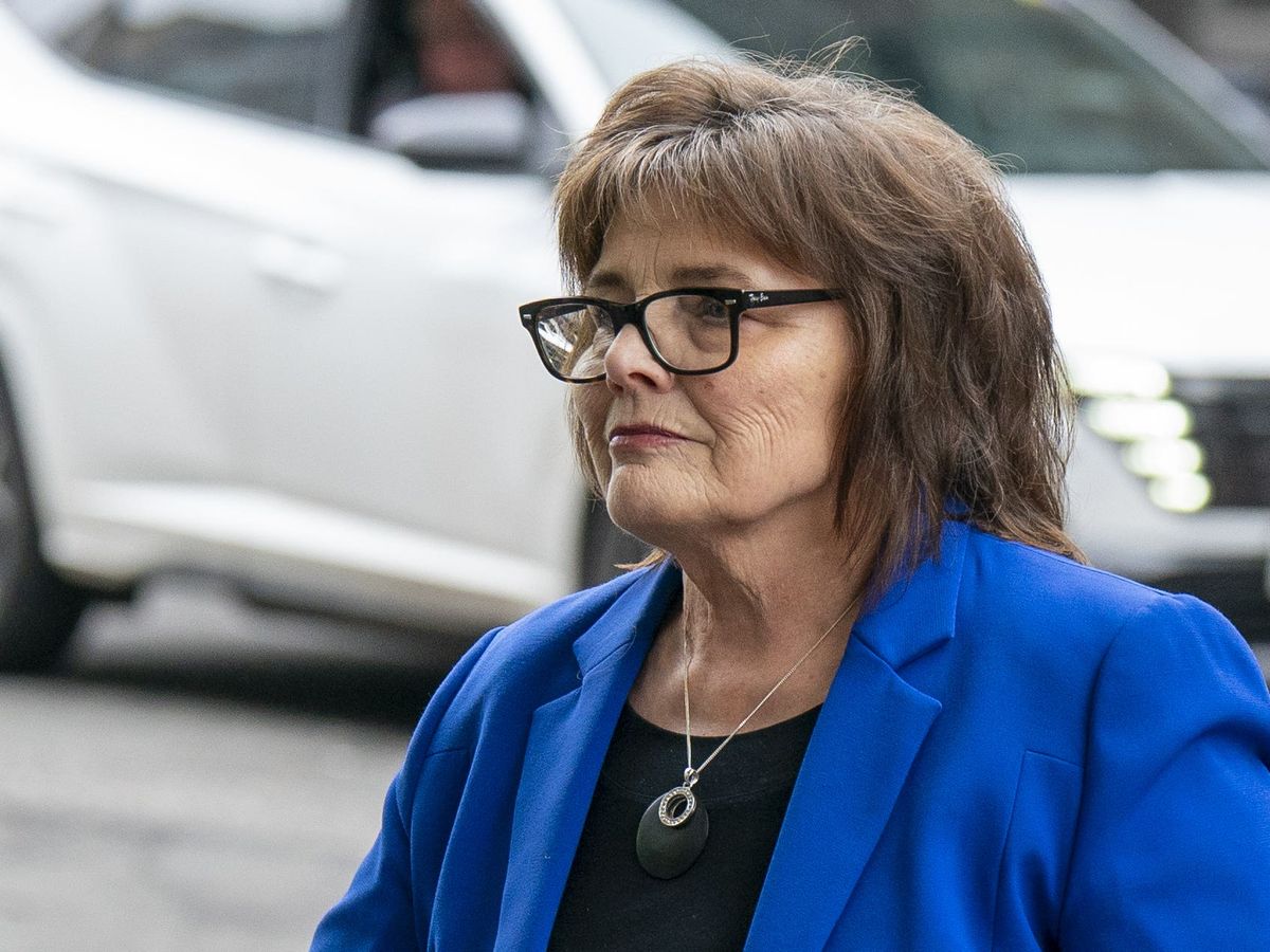 Freeman tells inquiry Government was &lsquo;naive&rsquo; in hospital oversight