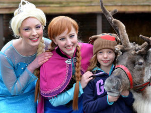 Supporting image for story: 900 attend Frozen sing along at reindeer lodge