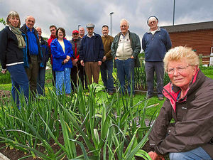 Supporting image for story: Shropshire allotment holders digging their heels in over plot to build on land