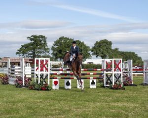 Supporting image for story