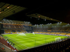 Supporting image for story: Wolves bosses: 'We need support to create 50,000-seater Molineux dream'