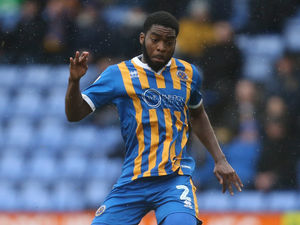 Supporting image for story: Illness hits Shrewsbury Town ahead of trip to Gillingham