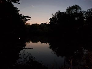 Supporting image for story: Police patrol Shropshire pond after reports of illegal fishing