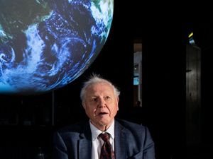 Supporting image for story: Sir David Attenborough, Greta Thunberg and Marcus Rashford top ethics poll