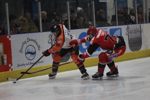 Action from the Telford Tigers' 4-3 victory over the Swindon Wildcats at Telford Ice Rink on Sunday night Picture: Lauren Rankin