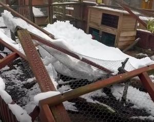 Damage caused by the storm. Image: Brockswood Animal Sanctuary