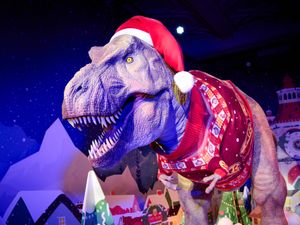 Supporting image for story: Santa Jaws is coming to town to launch museum’s sustainable Christmas jumper