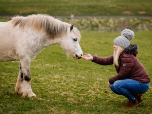 Supporting image for story: Pony died after being fed too much by well-meaning visitors to nature reserve