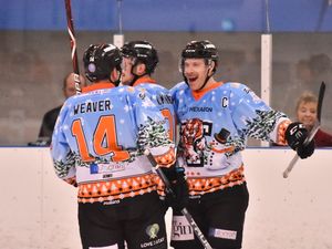 Supporting image for story: Telford Tigers go goal crazy