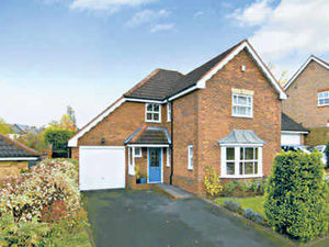 Supporting image for story: Properties of the Week