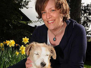 Supporting image for story: Pampered Bess is now 154