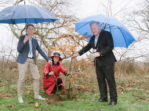 Supporting image for story: Trees mark Shropshire hospital's big anniversary year