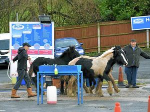 Supporting image for story: Horse power at petrol station