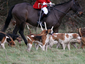 Supporting image for story: Councillor's libel law warning over social media fox hunt spat