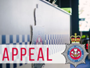 Supporting image for story: Police appeal for information after a driver died at the scene of a two vehicle collision in Powys.