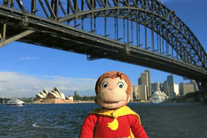 Supporting image for story: Shropshire internet sensation Curious George a real jet-setter