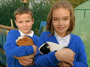 Supporting image for story: Furry little friends join Market Drayton school