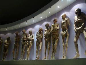 Supporting image for story: Fury at Mexican government after ancient mummy loses arm in renovation bungle