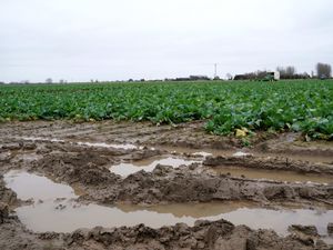 Supporting image for story: Farmer confidence at all-time low as 82% hit by wet weather, unions warn